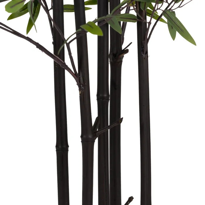 Planta bambú tejido